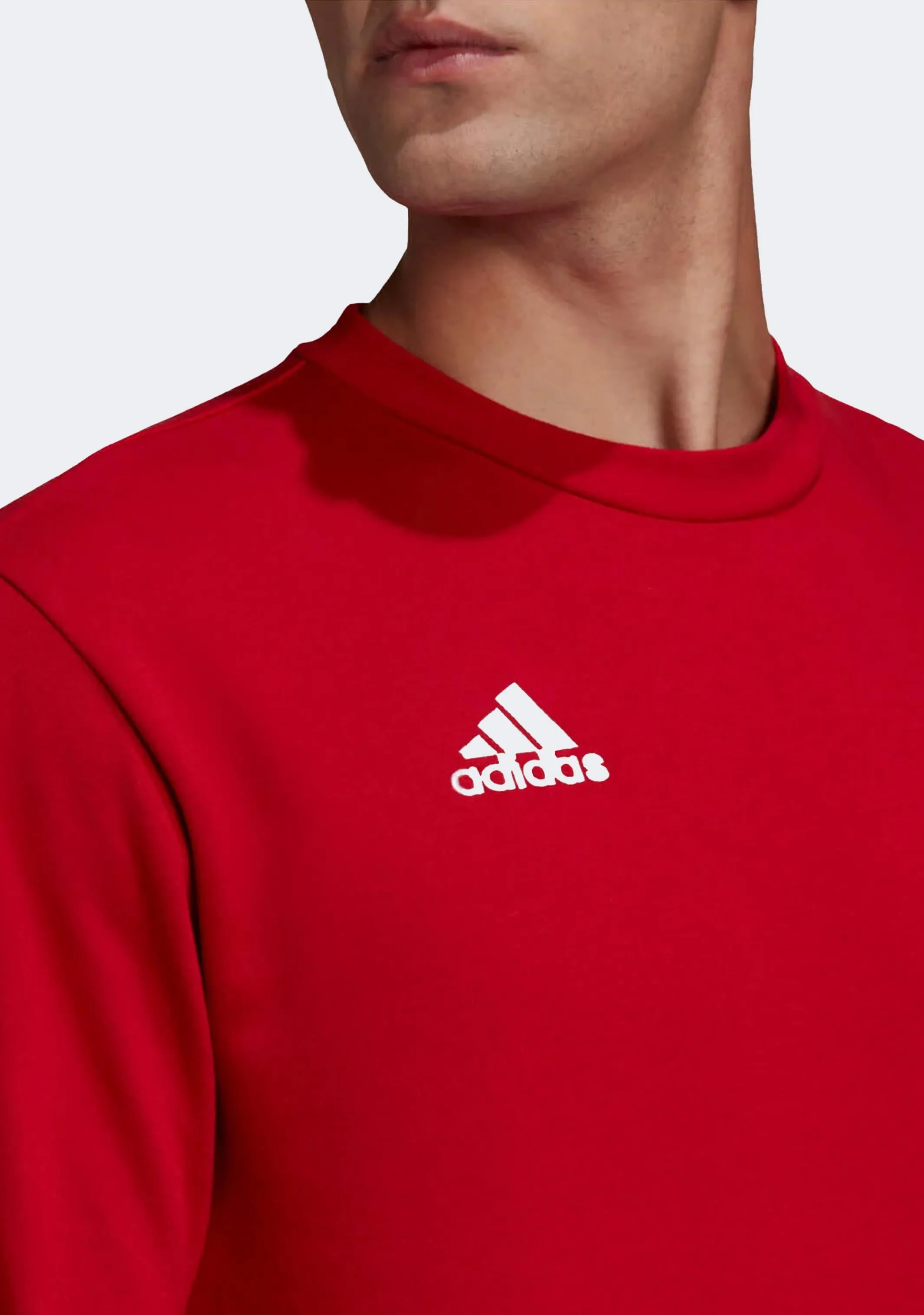 Adidas Men's Entrada 22 Sweatshirt