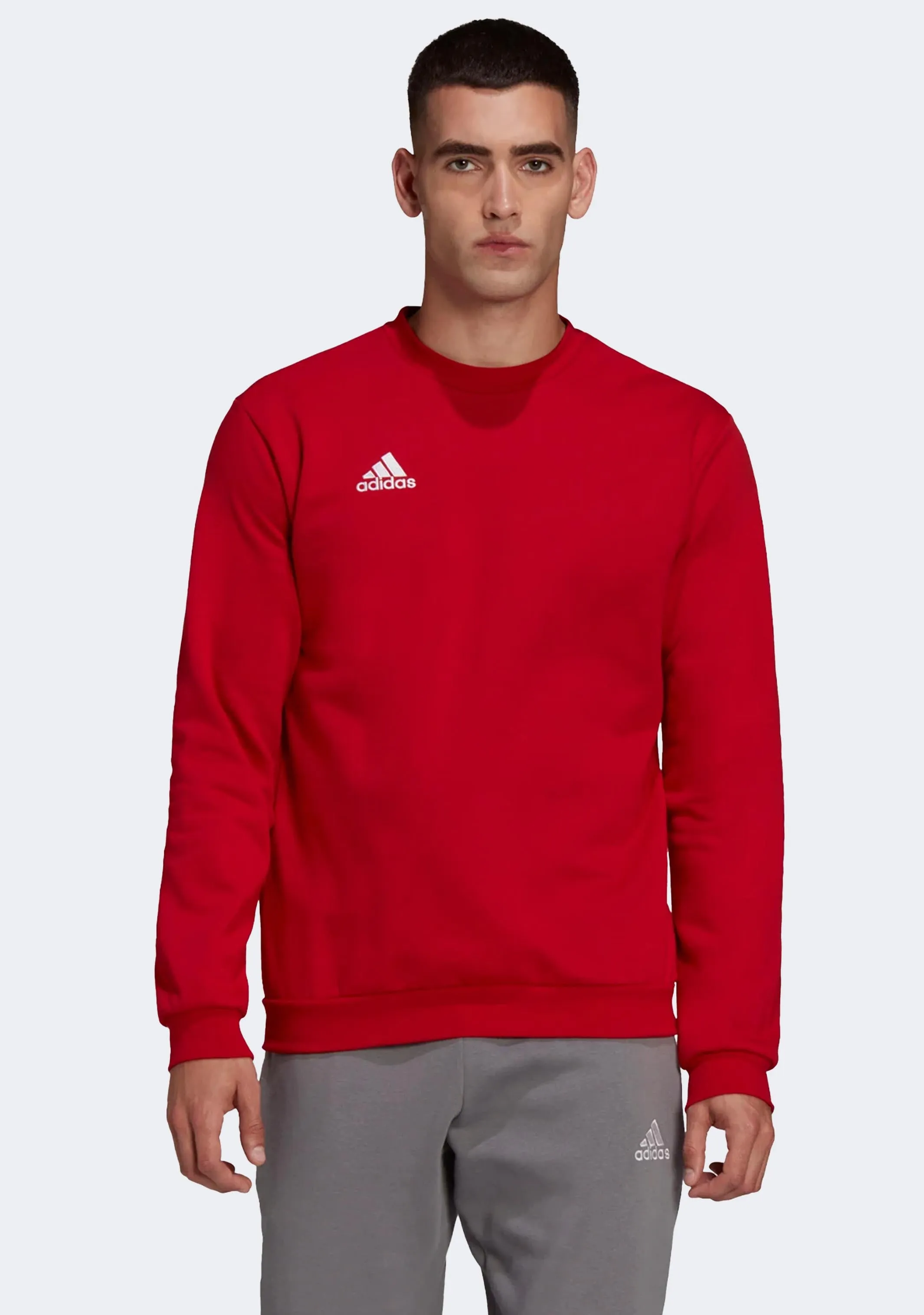 Adidas Men's Entrada 22 Sweatshirt