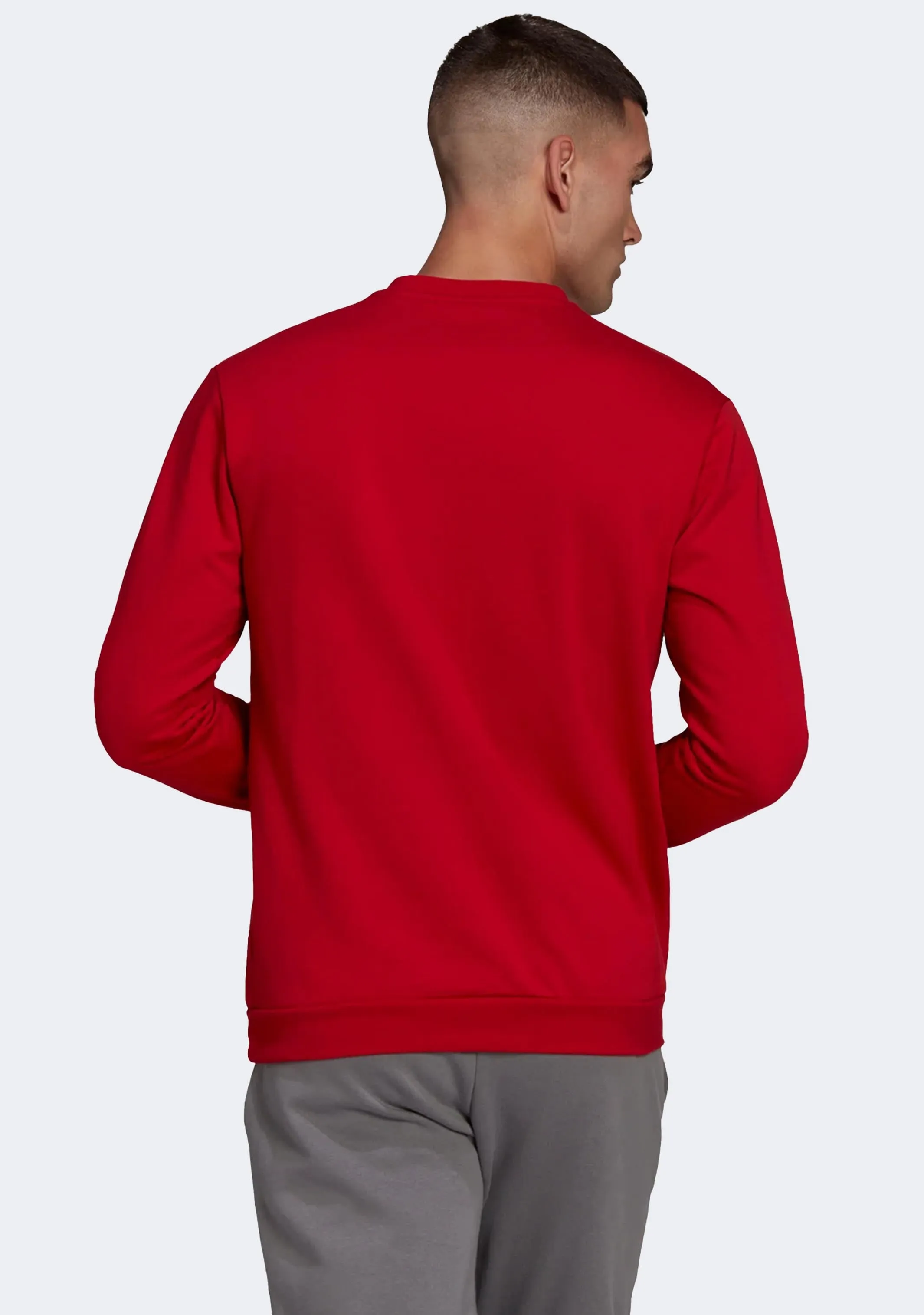 Adidas Men's Entrada 22 Sweatshirt