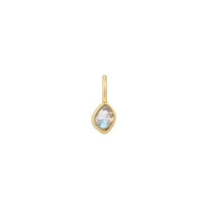 Charme en Labradorite Dorée Ania Haie NC048-11G Bijoux Ania Haie