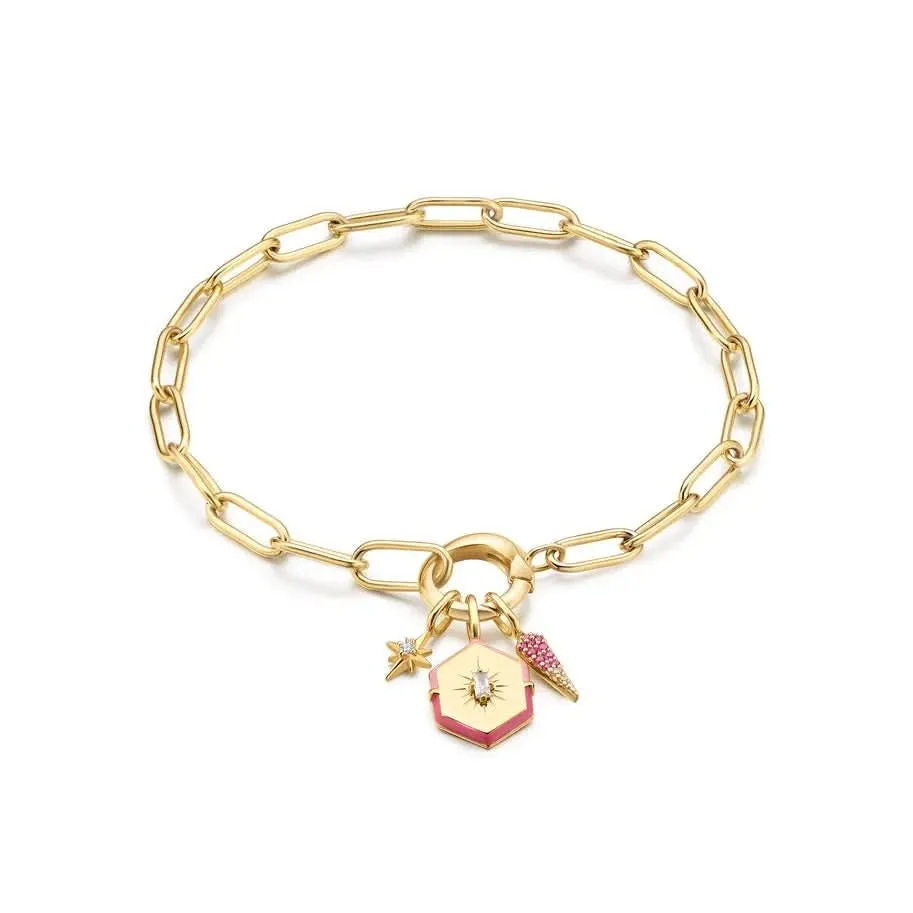 Ania Haie Or Ombré Rose Charme NC048-29G Bijoux Ania Haie