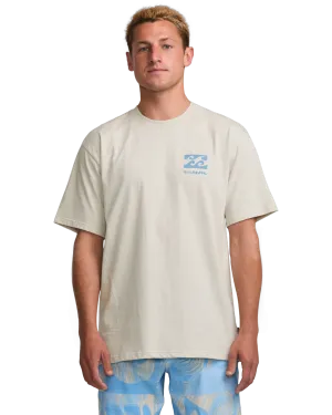 Elements Regular T-Shirt in Stone