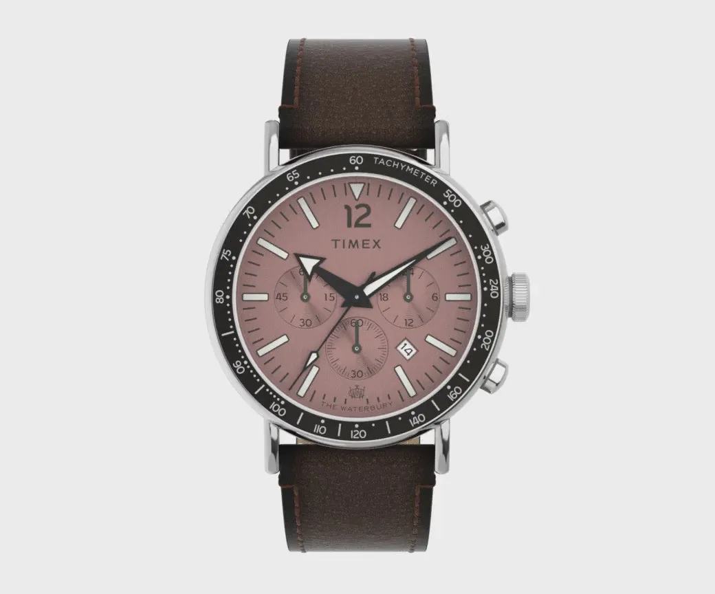 Montre pour hommes Waterbury Standard en or rose TW2W47300