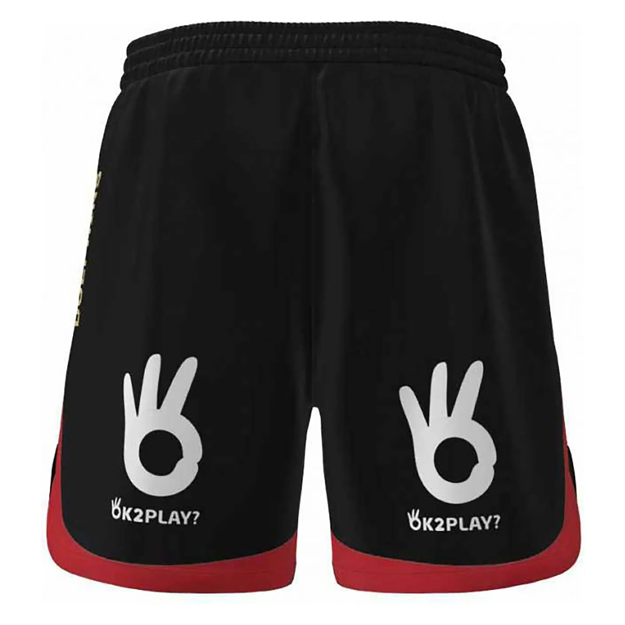 Men's NRL Dolphins 2023 Training Shorts