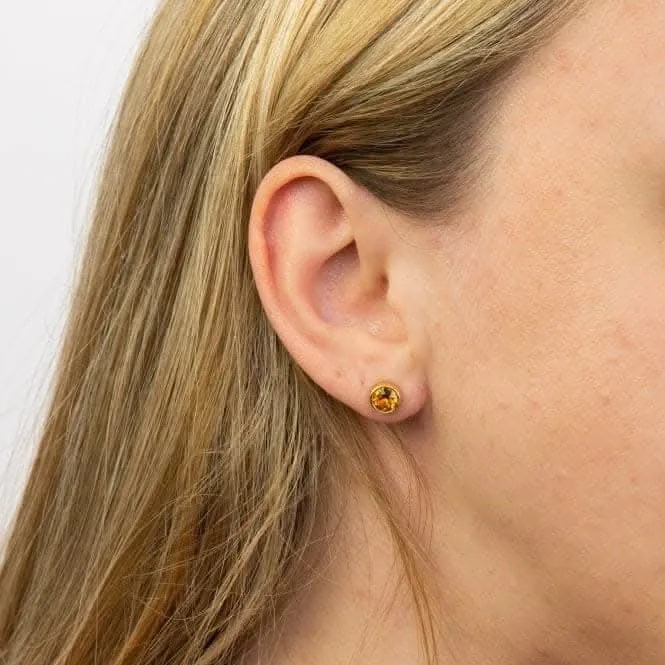 Boucles d'oreilles en pierre de naissance plaquées or jaune de novembre avec cristal Swarovski E1547 - Débuts de bijoux