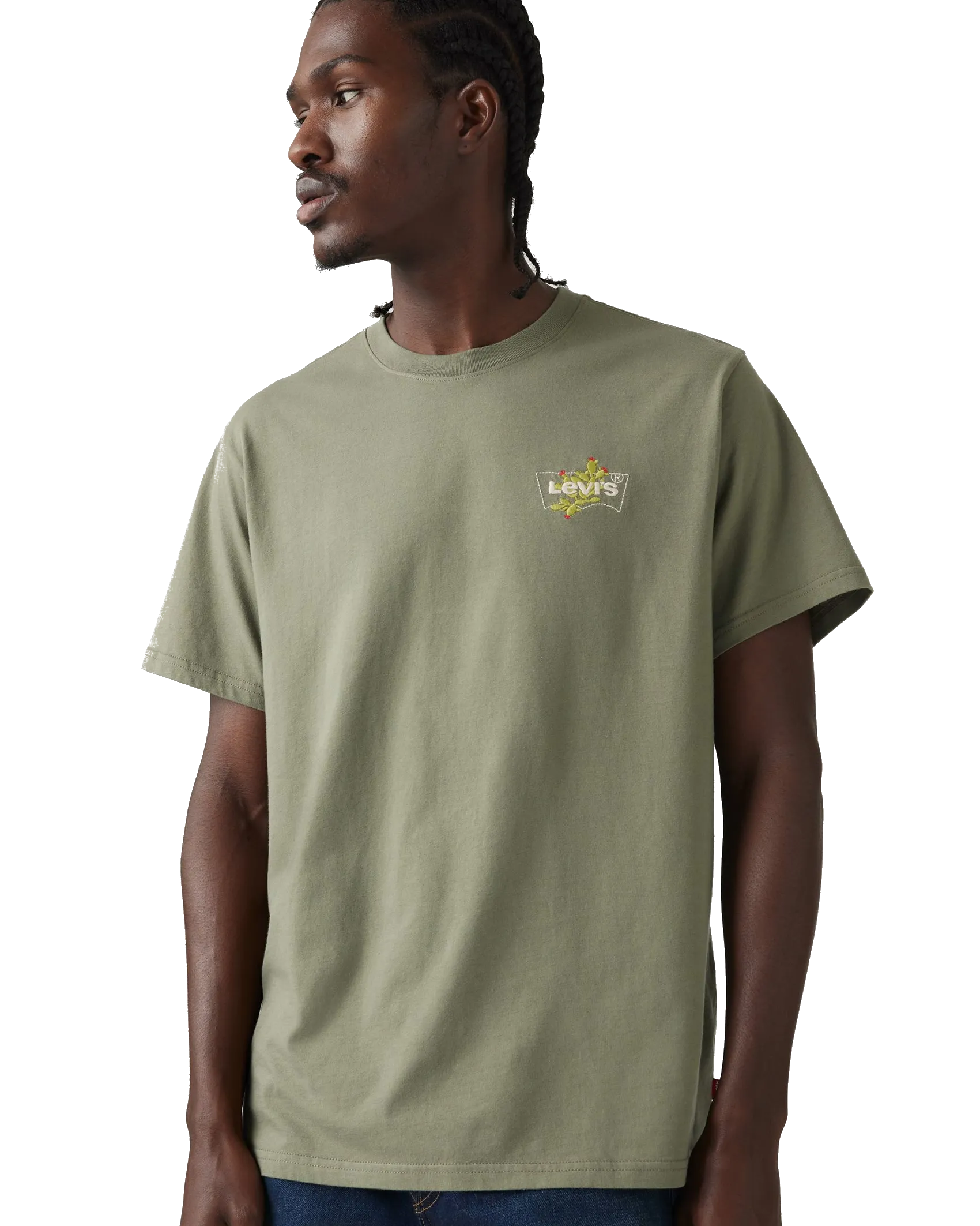 Relaxed Fit T-Shirt in Lichen Green