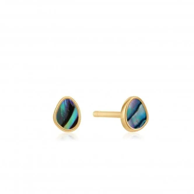 Boucles d'oreilles à clous Abalone Doré Brillant Marée E027-04G Ania Haie Jewellery